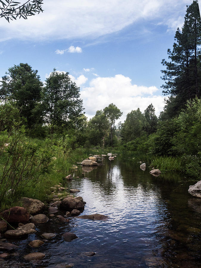 Canyon Creek 2 Photograph by Ralph Muzio - Fine Art America