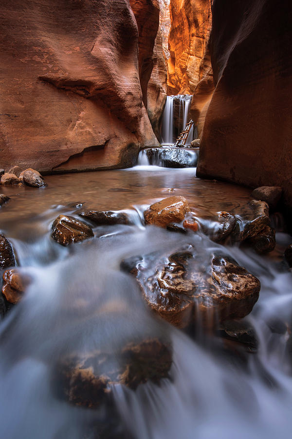 Canyon Creek Photograph by Dustin LeFevre