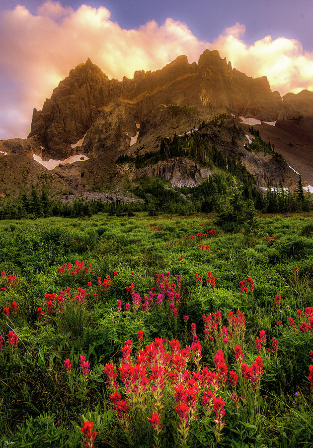 Canyon Creek Meadow Sunset Photograph by Russell Wells