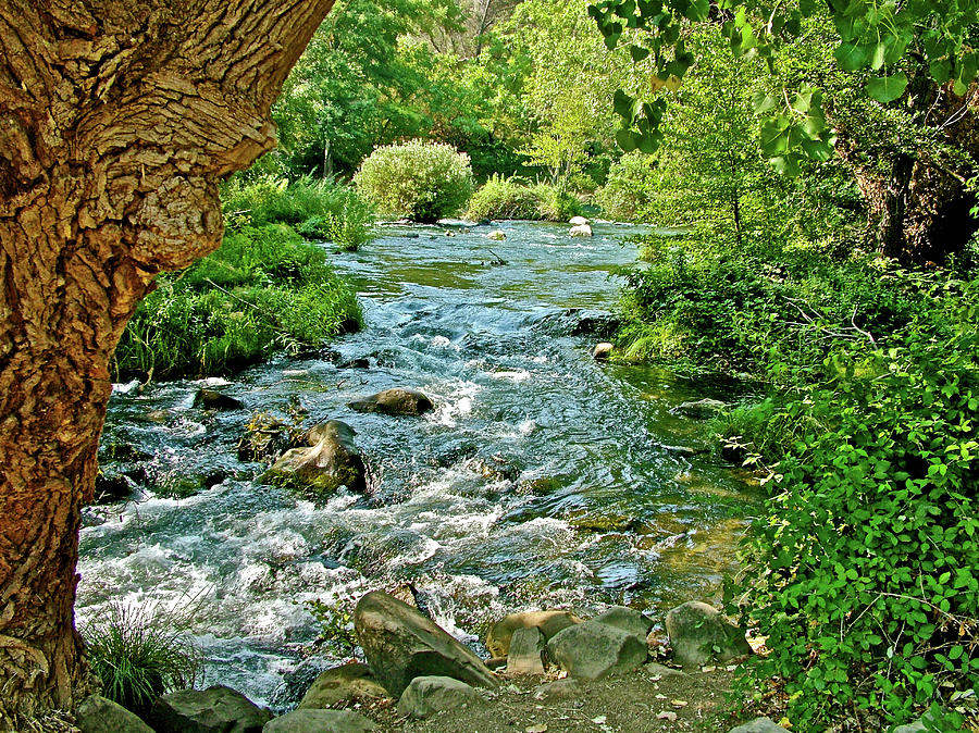 Canyon Creek near Winters-California Photograph by Ruth Hager