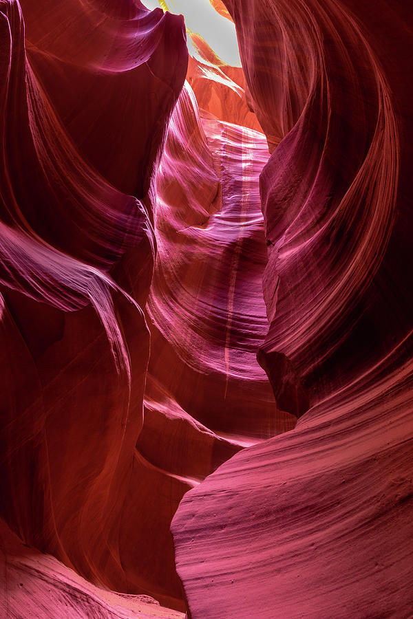 Canyon Curves Photograph by Paul LeSage