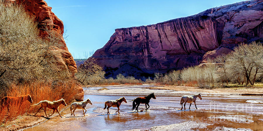 Canyon de Chelly National Monument Photograph by Thomas R Fletcher