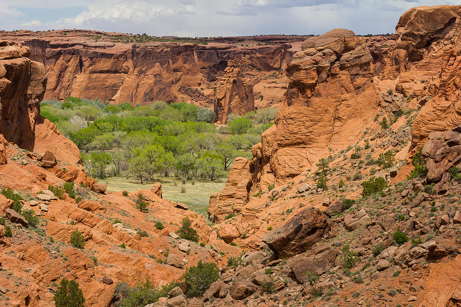 Canyon de Chelly Photograph by Penny Meyers