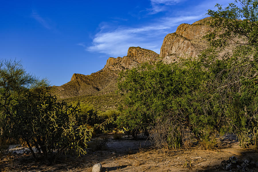 Mountain Photograph - Canyon del Oro No.21 by Mark Myhaver