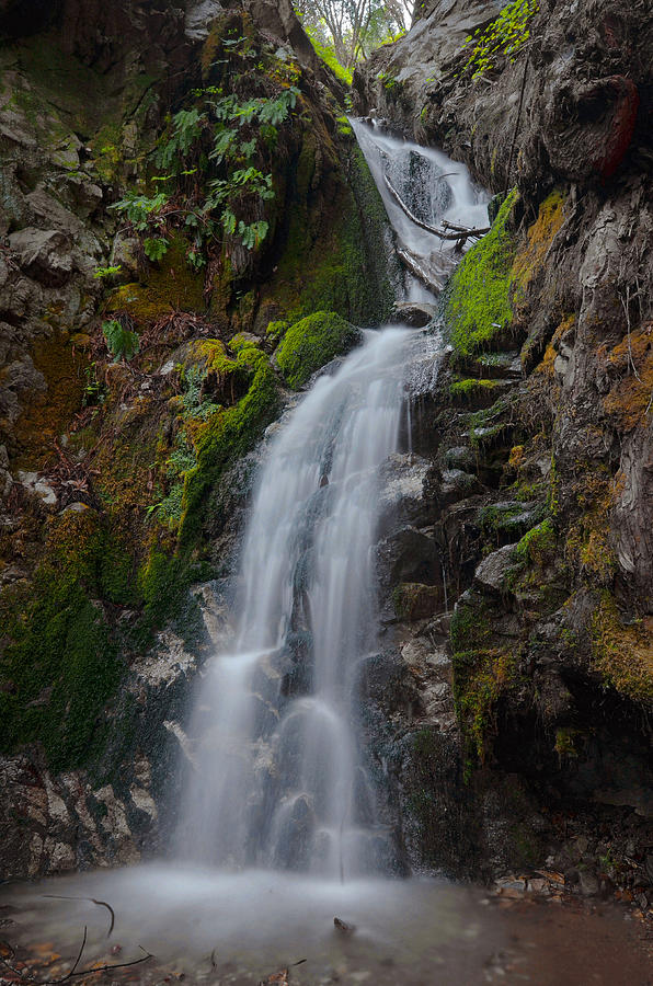 Canyon Falls - Big Sur 2 Photograph by Stephen Vecchiotti