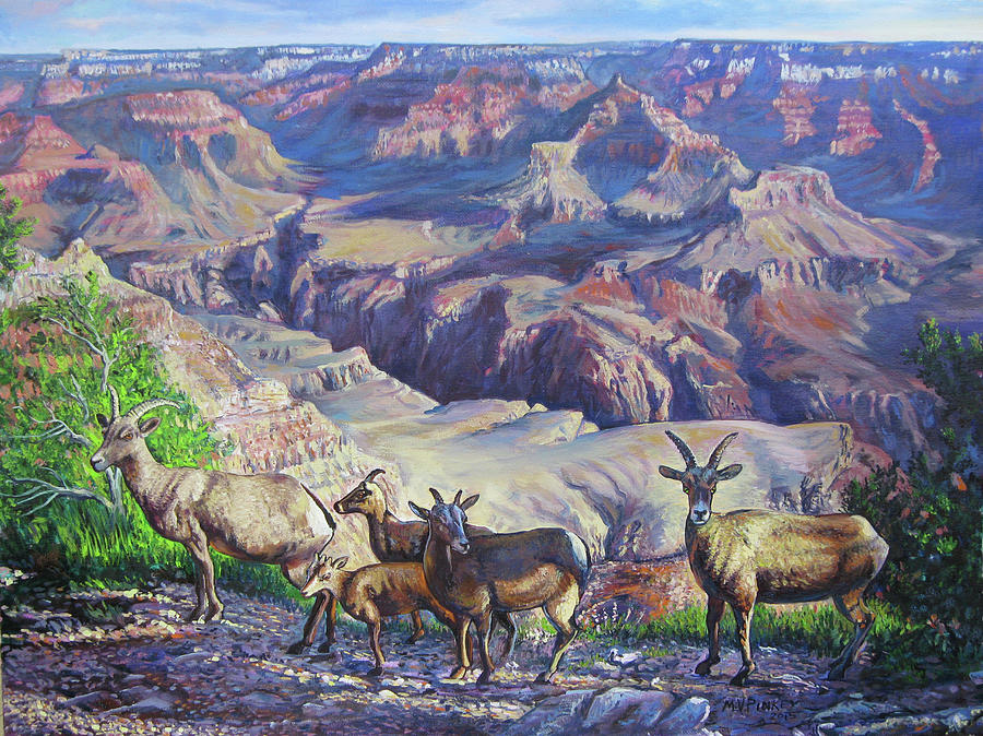 Canyon Goats on a Morning Walk Painting by Matthew Pinkey - Pixels