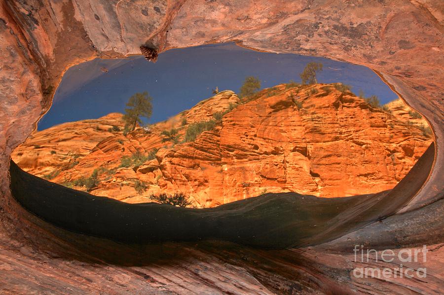 Canyon In A Pool Photograph by Adam Jewell