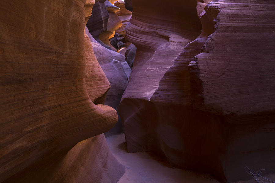 Canyon  Photograph by Jeff Shumaker