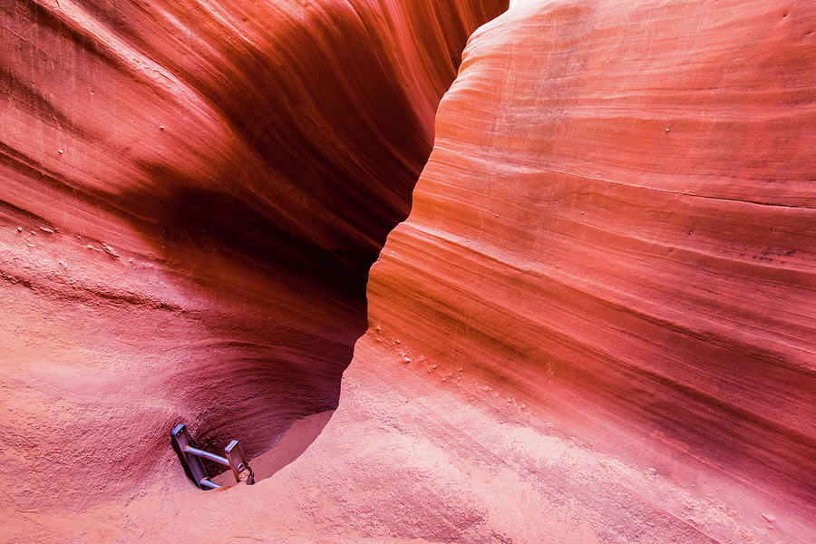 Canyon Ladder Photograph by Stephen Holst