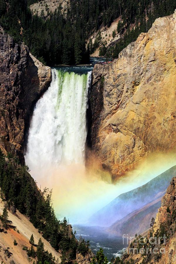 Canyon Lower Falls Rainbow Photograph