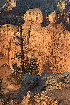 Landscape Photograph - Canyon Morning I by Eric Saunders