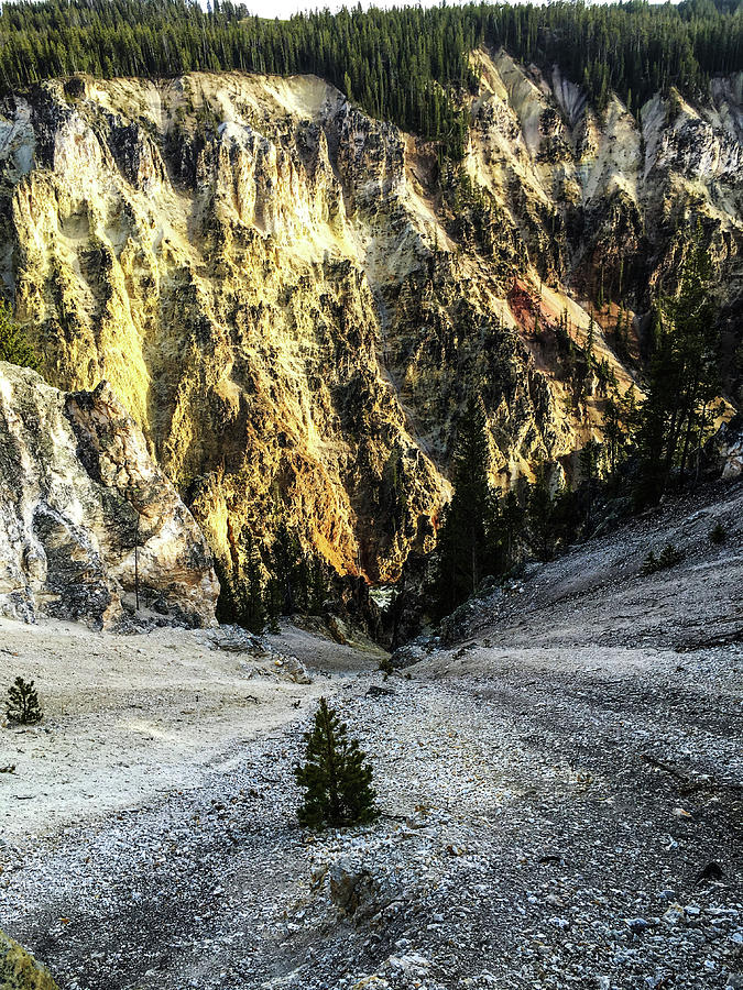 Canyon Of Yellowstone Photograph by Aparna Tandon