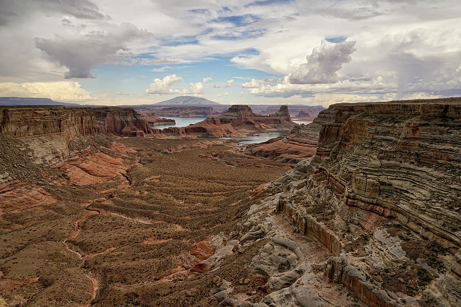 Canyon Overlook Photograph by Leda Robertson