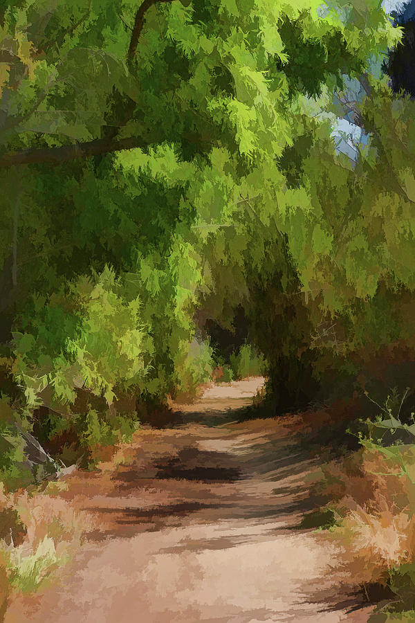 Canyon Path I Painterly Digital Art by Linda Brody