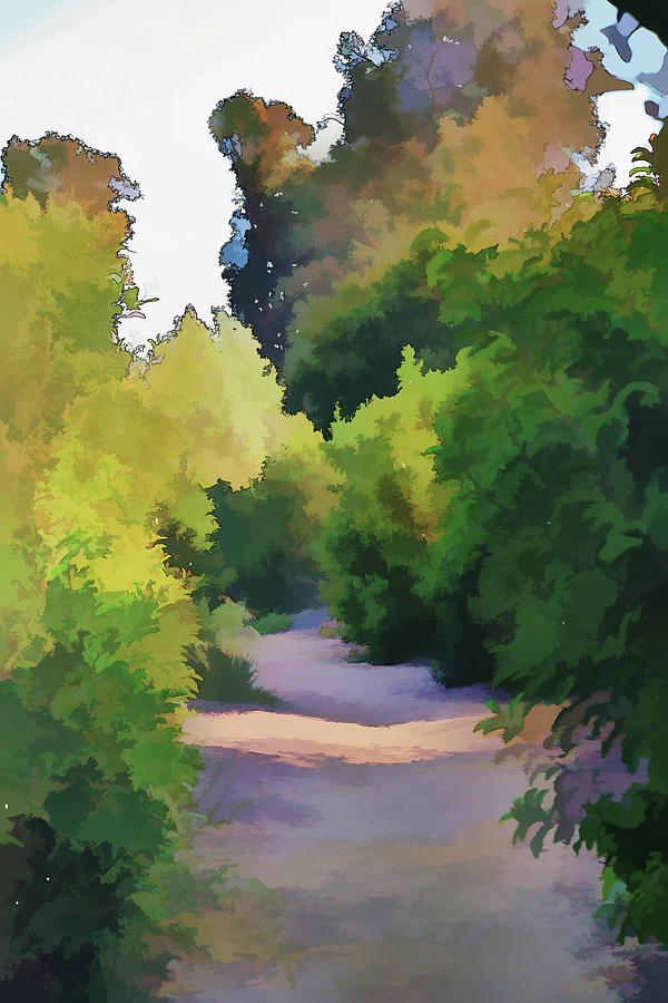 Canyon Path III Painterly Digital Art by Linda Brody