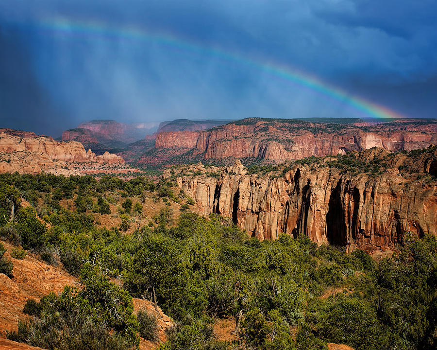 Tree Photograph - Canyon - Rainbow - Arizona by Nikolyn McDonald