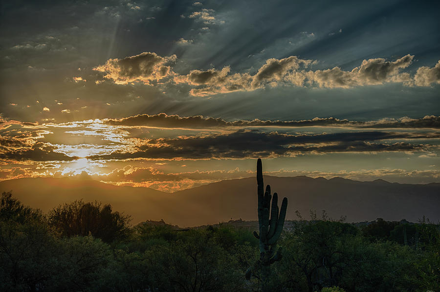 Canyon Ranch Dawn Photograph by Dan McManus