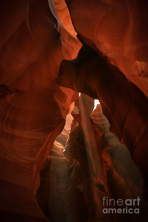 Nature Photograph - Canyon Rays by Cassandra Lemon