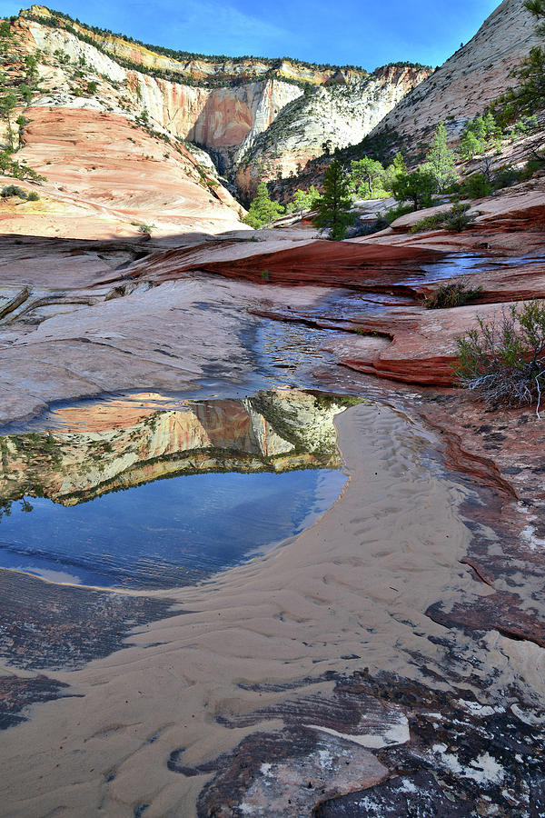 Canyon Reflection Photograph by Ray Mathis