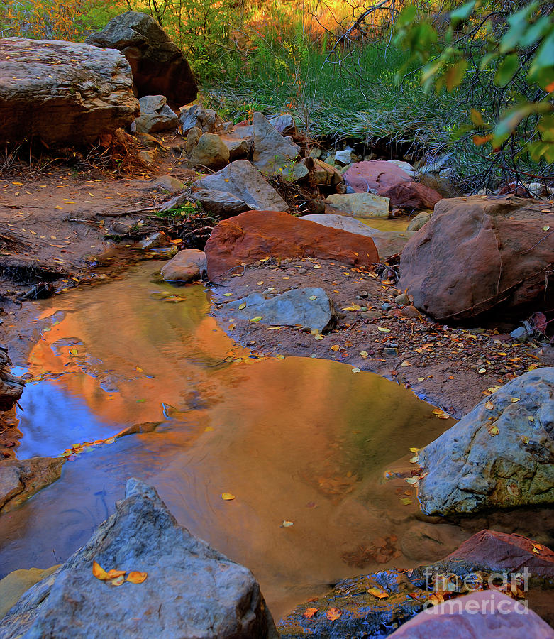 New Mexico Photograph - Canyon Reflections 1 by Kenneth Eis