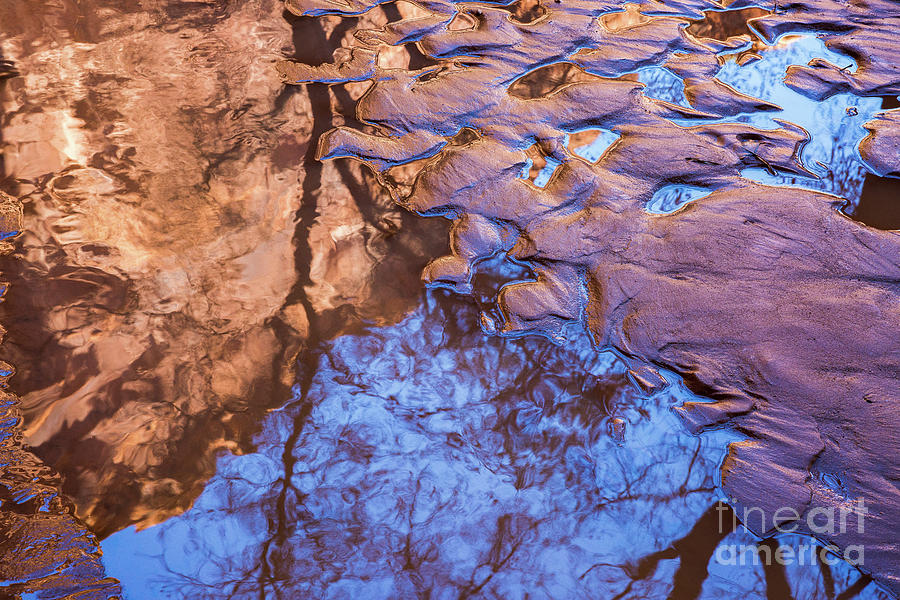 Canyon Reflections Photograph by Anthony Michael Bonafede