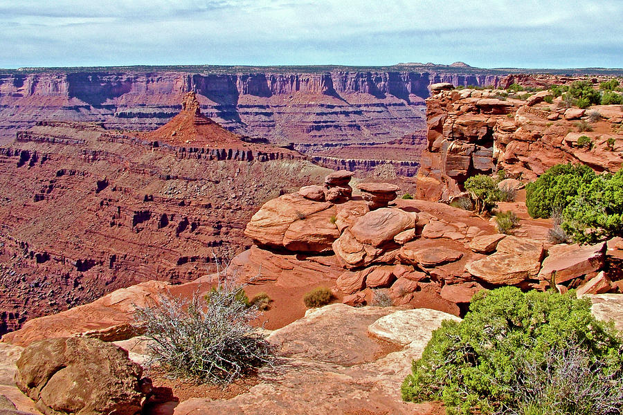 Canyon Rim Junipers in Dead Horse Point State Park, Utah Photograph by Ruth Hager