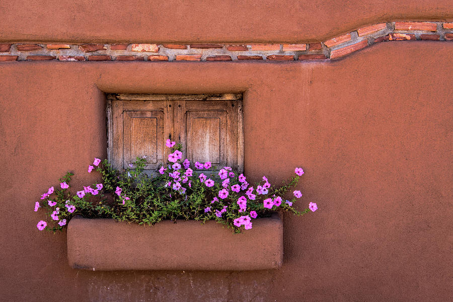 Canyon Road Flower Box Photograph by Paul LeSage
