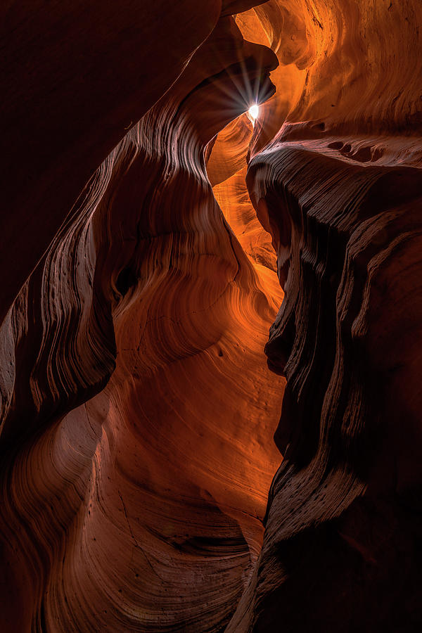 Canyon Star Photograph by Chuck Jason