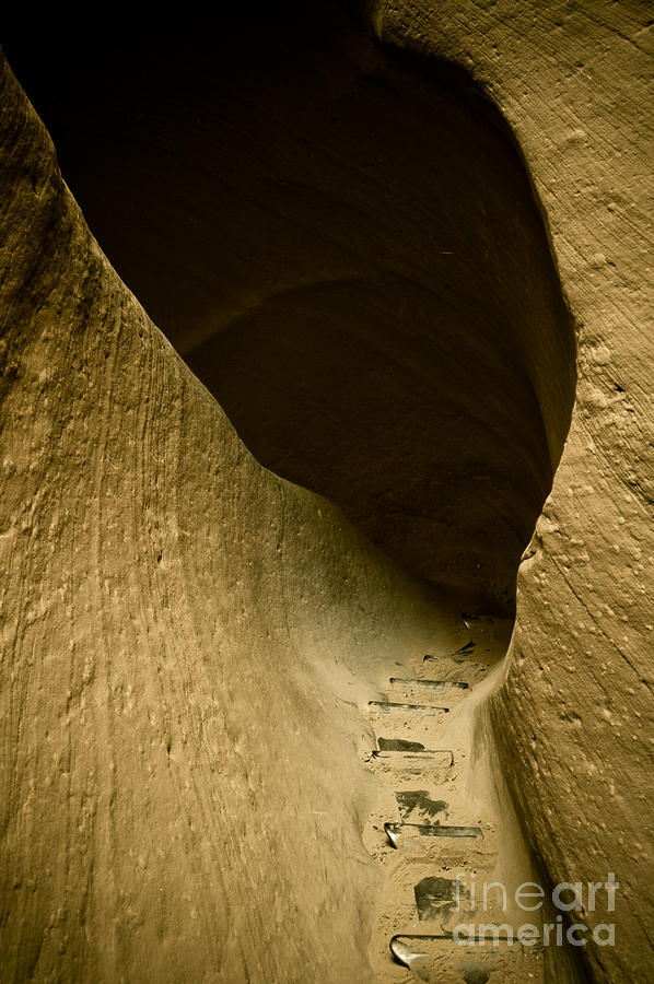 Canyon Steps Photograph by Scott Sawyer