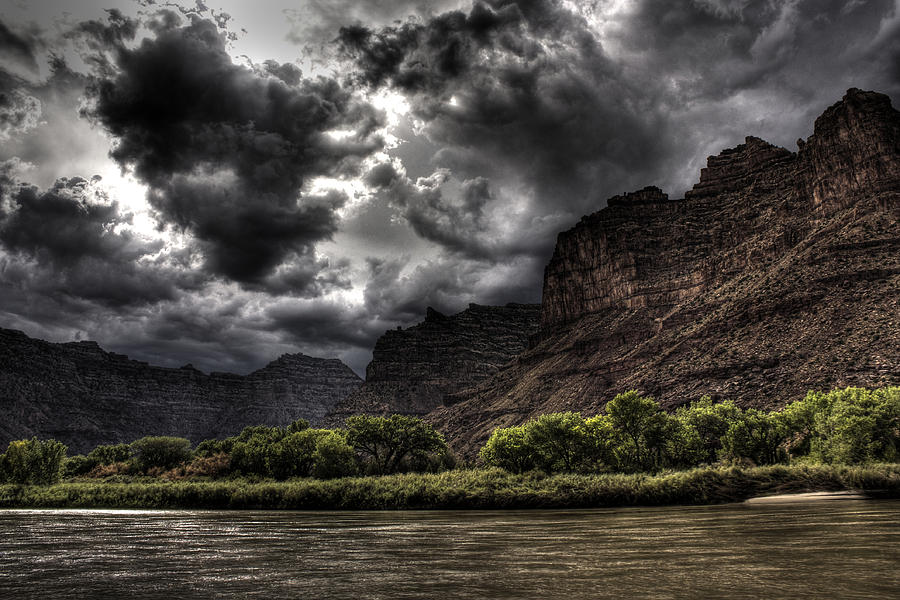 Tree Photograph - Canyon Storm by Allen Lefever