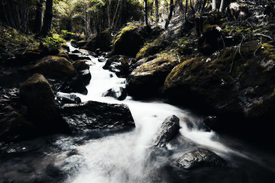 Canyon Stream Photograph by Digital Art Cafe
