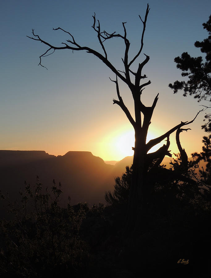 Canyon Sunrise Photograph by Gordon Beck