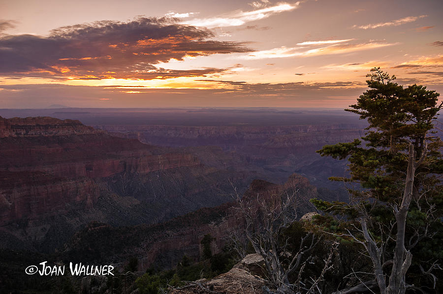 Canyon Sunrise Photograph by Joan Wallner