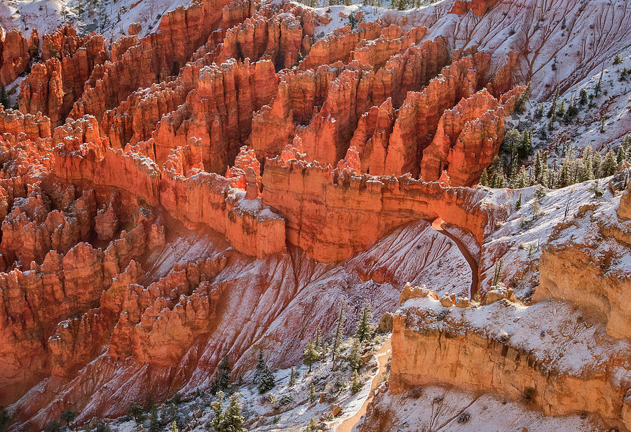 Canyon Trail Photograph by John Roach