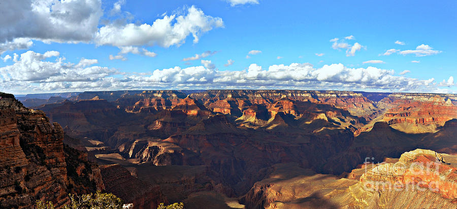 Canyon View Photograph by Eric Liller