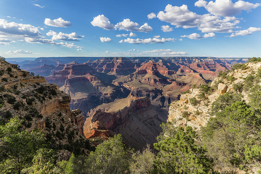 Canyon Vista Photograph by Jay Beckman