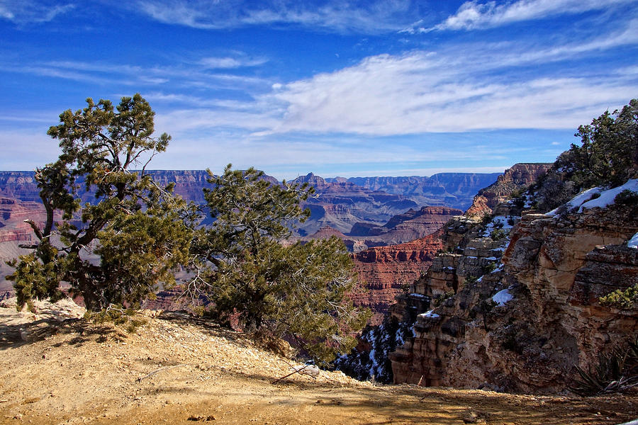Canyon Vista Photograph by Leda Robertson