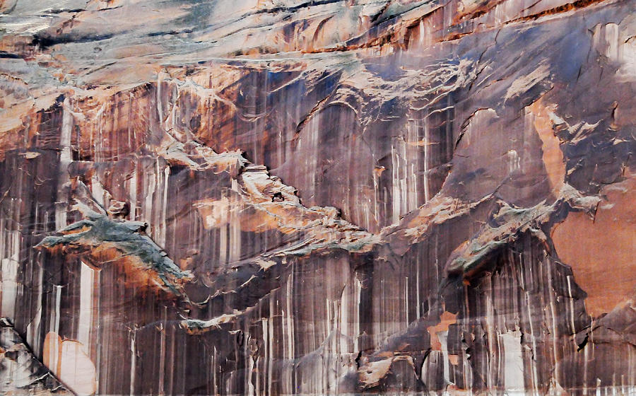 Canyon Wall Tapestry Photograph by Geraldine Alexander