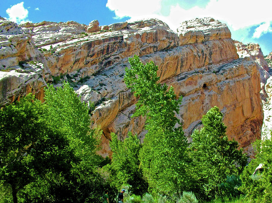 Canyon Wall along Hog Canyon Trail on Tour of the Tilted Rocks in Dinosaur National Monument, Utah Photograph by Ruth Hager