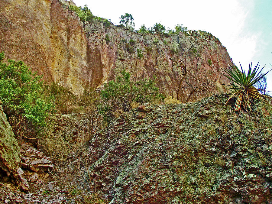 Canyon Wall in Whitewater Catwalk National Recreation Trail near Glenwood-New Mexico Photograph by Ruth Hager