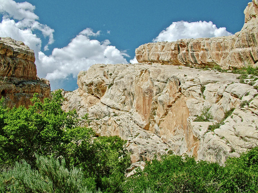 Canyon Wall on Hog Canyon Trail on Tour of the Tilted Rocks in Dinosaur National Monument, Utah Photograph by Ruth Hager