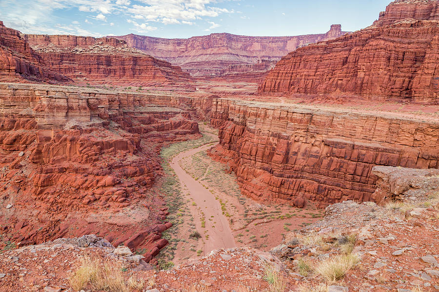 Canyonland National Park Photograph by Cindy Archbell