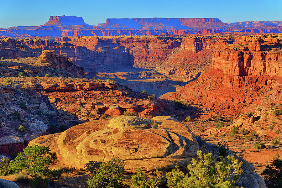 Canyonlands Cross Section Photograph by Greg Norrell