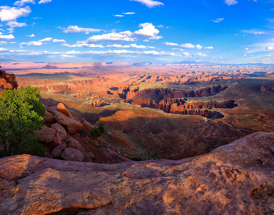 Canyonlands Grand View Photograph by Greg Norrell