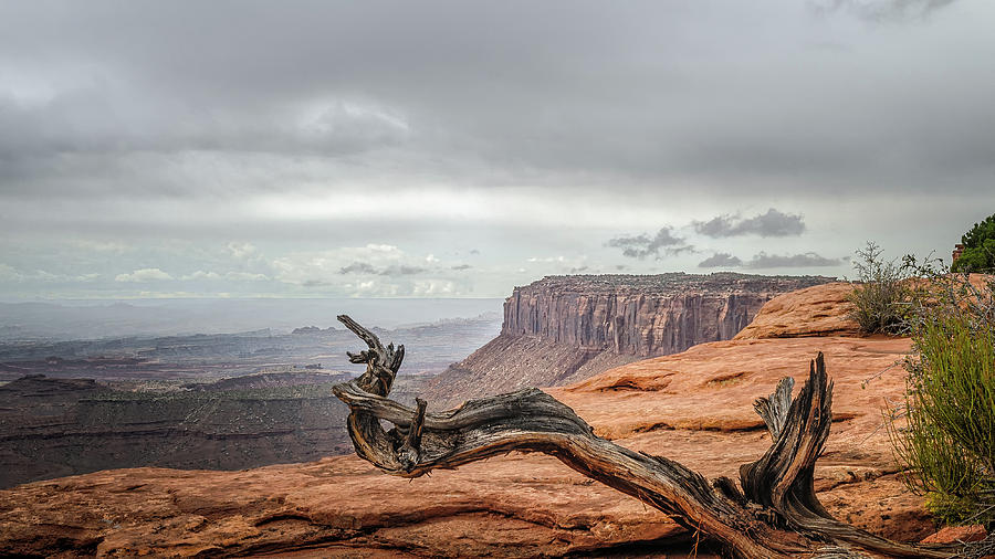 Canyonlands Photograph by Joseph Smith