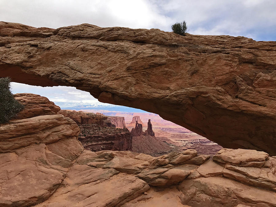 Canyonlands National Park Arch by Elizabeth Rose Canyonlands National Park Arch by Elizabeth Rose