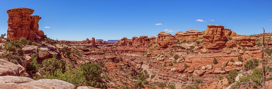 Canyonlands National Park - Big Spring Canyon Overlook Photograph by Brenda Jacobs