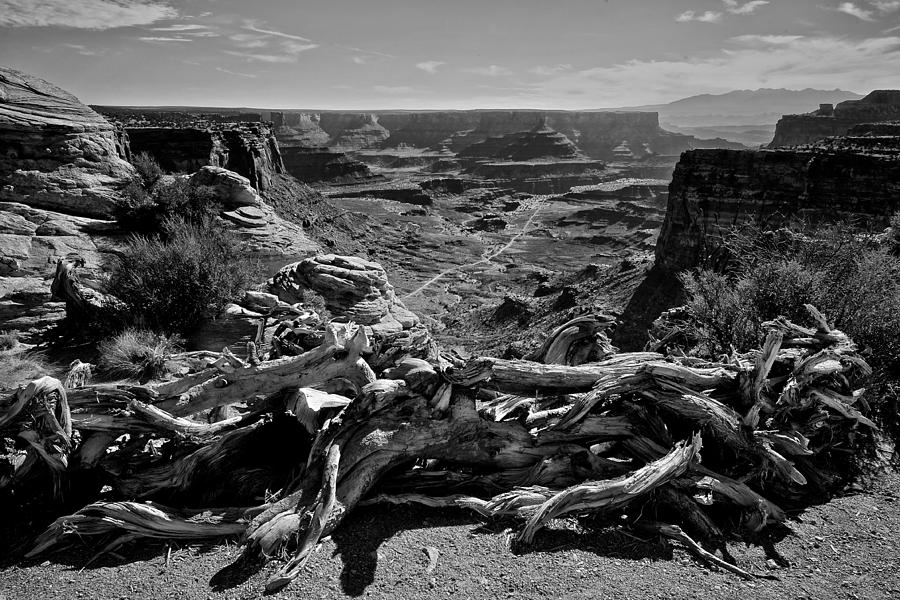 Canyonlands National Park Photograph by John Daly