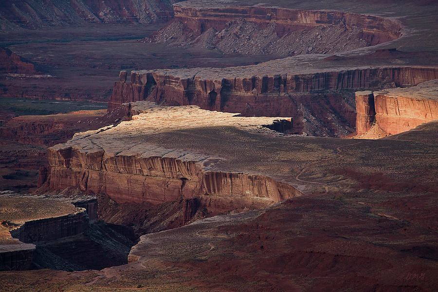 Canyonlands NP II Color Photograph by David Gordon