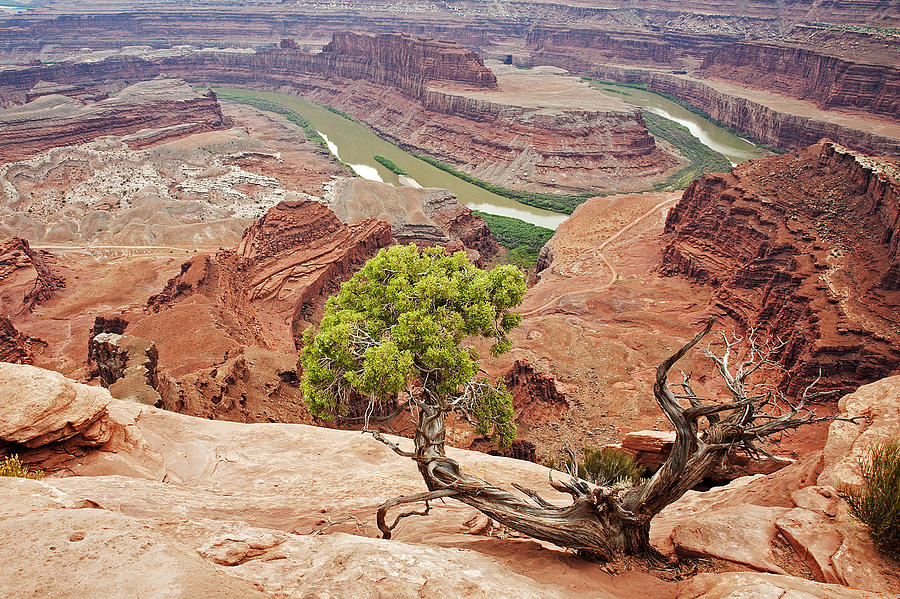 Canyonlands II #1 Photograph by Doug Davidson